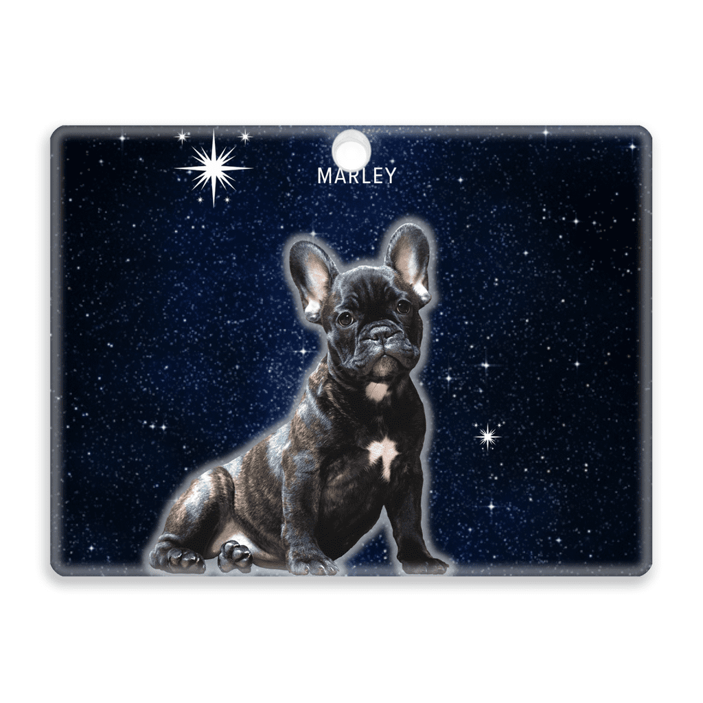 custom-rainbow-bridge-night-sky-dog-portrait-acrylic-ornament.jpg