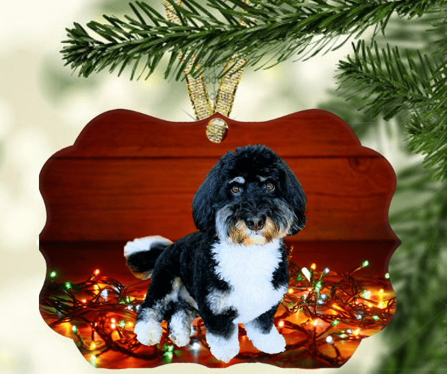 custom-classic-dog-portrait-acrylic-holiday-ornament.jpg
