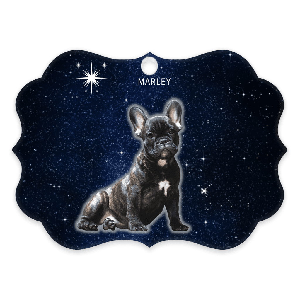 custom-rainbow-bridge-night-sky-dog-portrait-acrylic-ornament.jpg