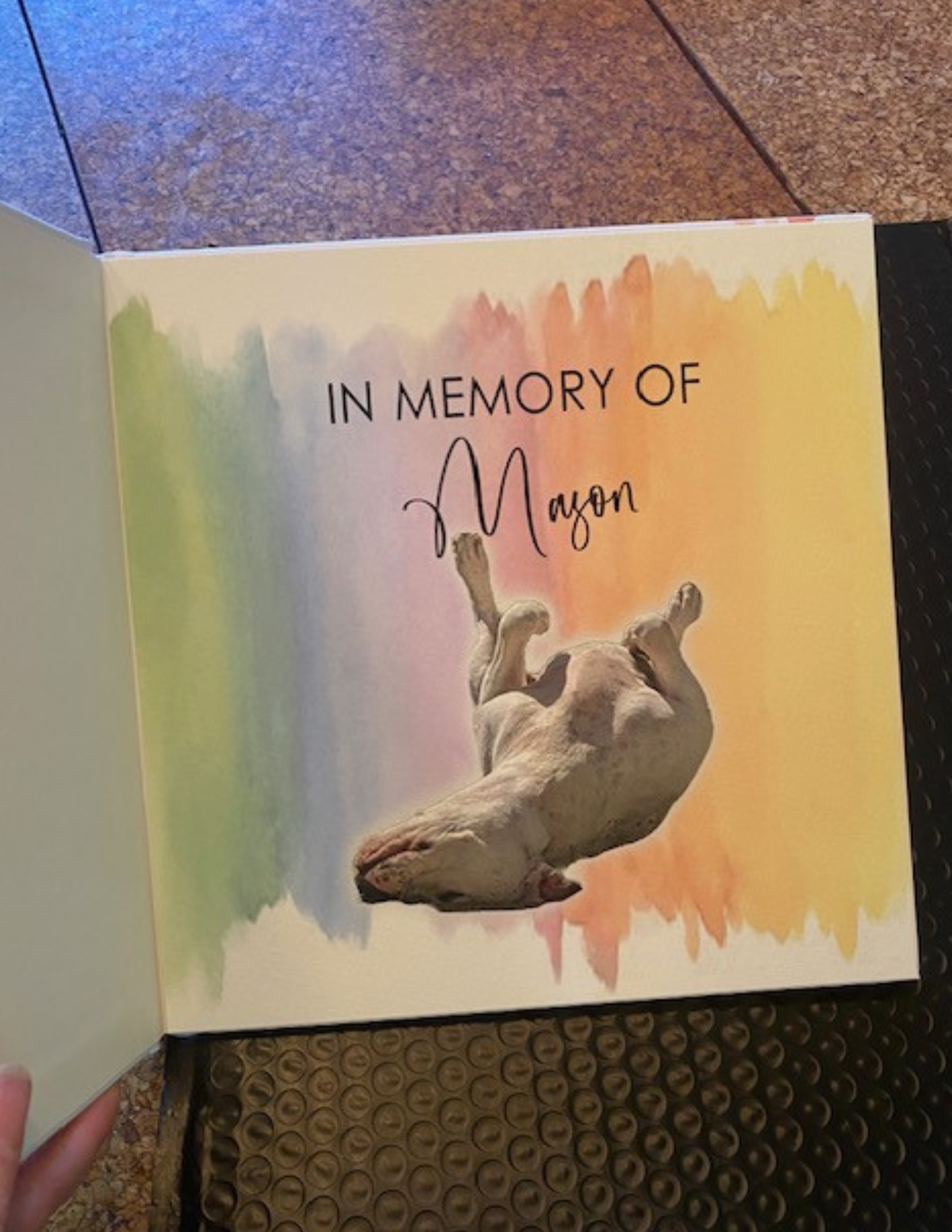 The Things I'll Remember: A Journal in Honor of My Dog On the Other Side of the Rainbow Bridge