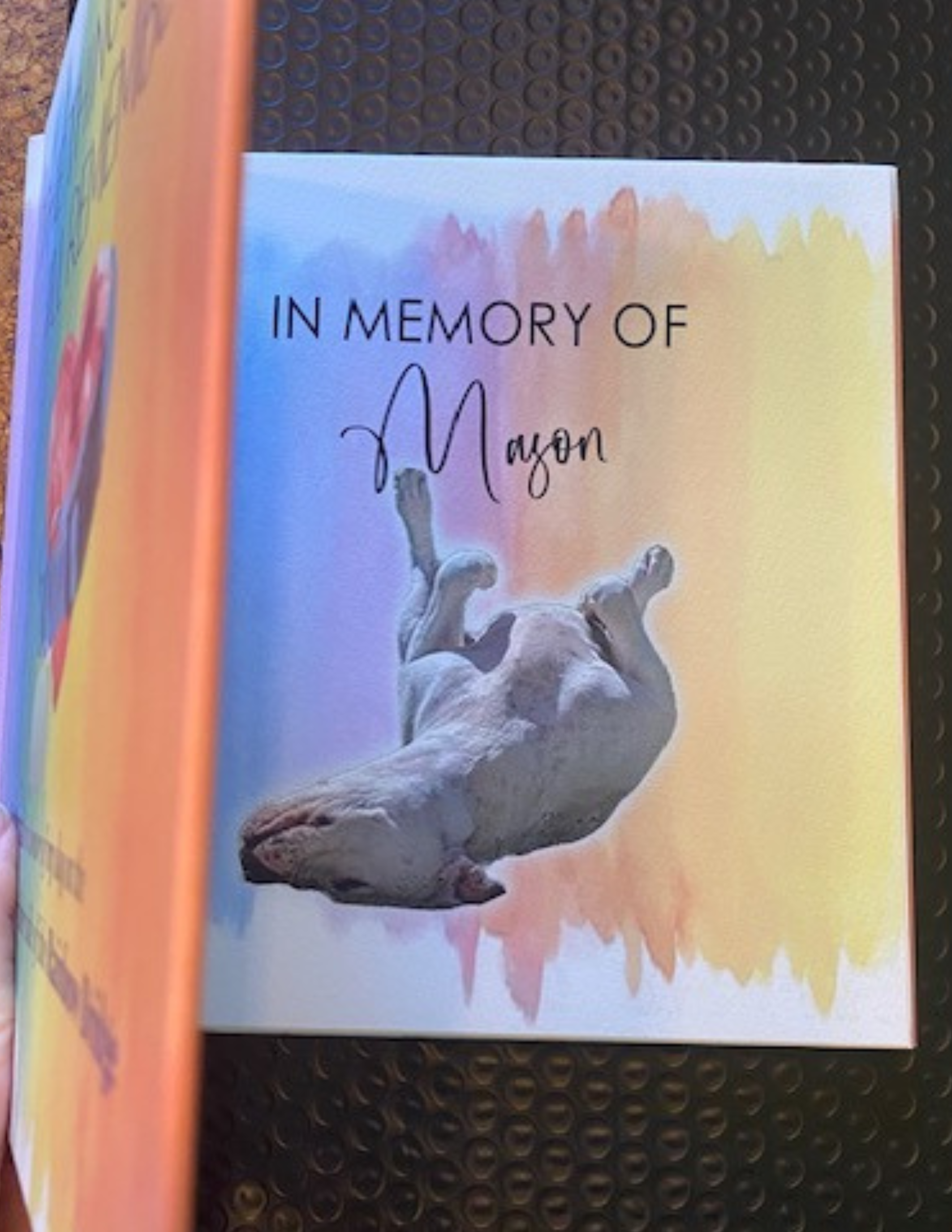 The Things I'll Remember: A Journal in Honor of My Dog On the Other Side of the Rainbow Bridge