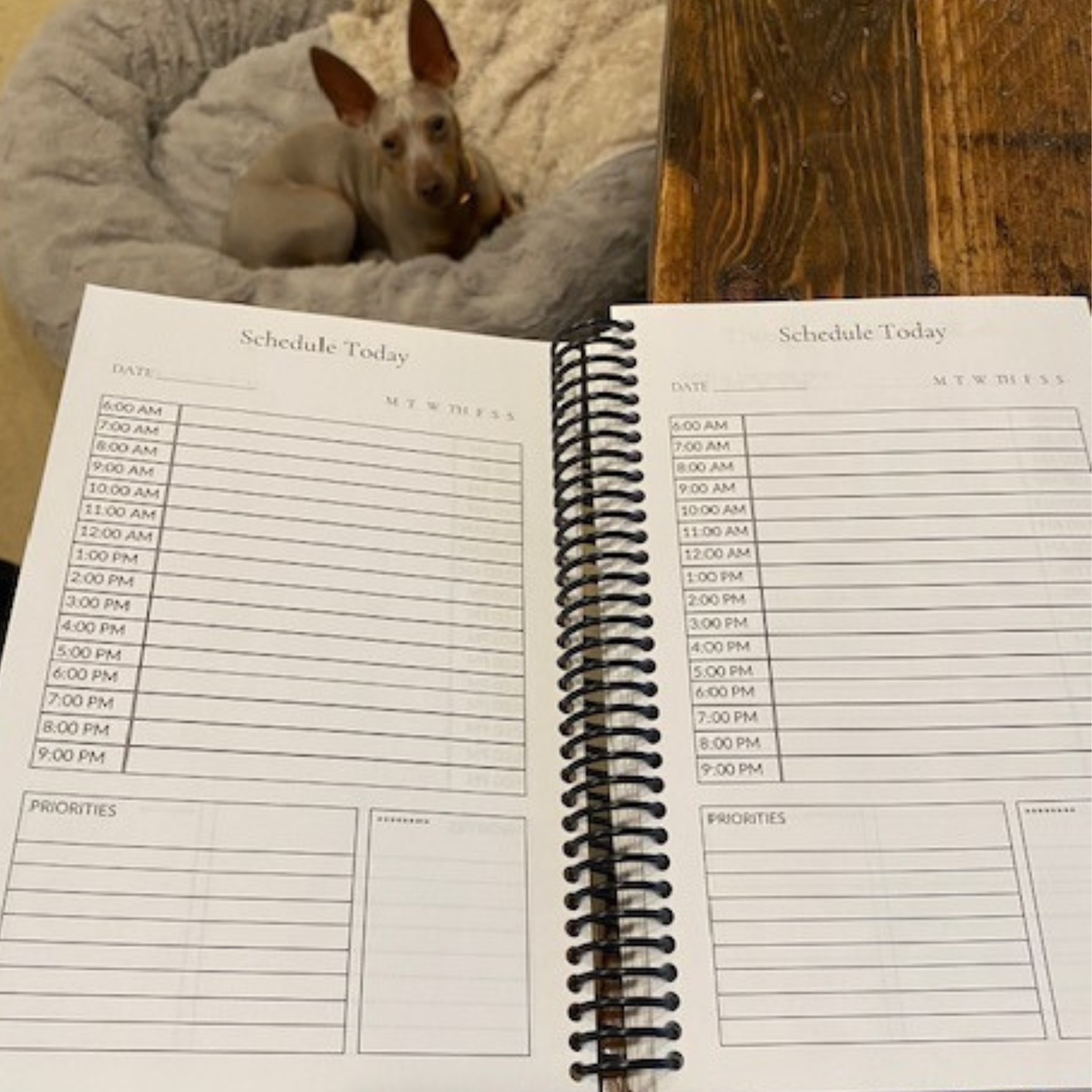 Dog Mom Undated 6 Month Spiral Bound Daily Planner With Special Dog Pages - dog-mom-daily-planner